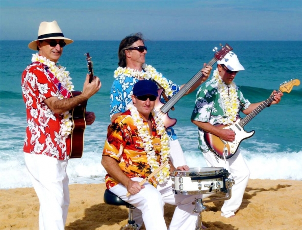 Beach Boys Tribute Band Sydney - Tribute Show