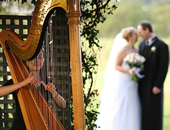 BRISBANE WEDDING HARPIST C