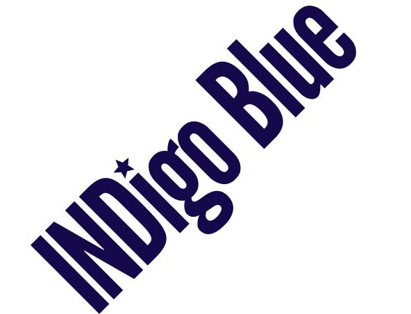 Indigo Blue Acoustic Music Duo Sydney