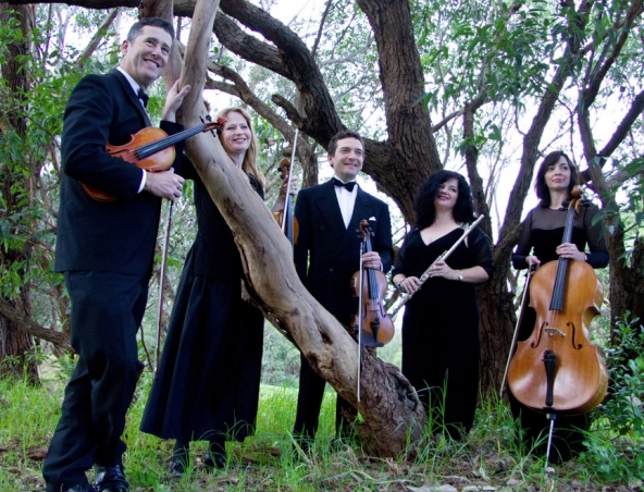 String Quartet Sydney - Velvet Strings - Wedding Music
